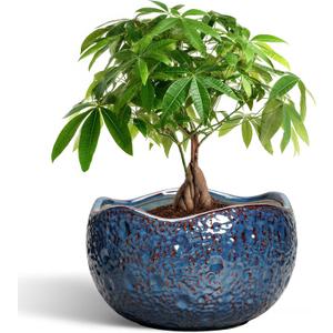 10 Inch Plant Pot - Ceramic Planter for Indoor Outdoor, Round Bonsai Pots, Decorative Flower Pots with Drainage Hole, Modern Unique Planters, House Decor, Home Gifts, Retro Blue