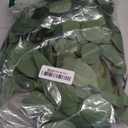 DearHouse 5.5ft Seeded Eucalyptus Garland, Artificial Vines Faux Eucalyptus Leaves Table Garland Artificial Greenery Wedding Backdrop Arch Wall Decor