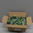 DearHouse Faux Eucalyptus Garland Plant, 2 Pack Artificial Vines Hanging Eucalyptus Leaves Greenery Garland for Wedding Backdrop Arch Wall Decor, 6 Feet/pcs UV Protected Indoor Outdoor