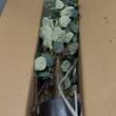 Artificial Eucalyptus Tree, 4ft Tall Green Silk Leaves Perfect Faux Plant with Basket, Mordern Fake Eucalyptus Trees for Indoor Outdoor Home Office Livingroom Floor Dcor