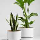 LE TAUCI 12 Inch Pot for Plants with Saucer, Ceramic Indoor Planter Pot with Drainage Hole, Mesh Pad Included, Matte Glazed Outside, Modern for Home and Office, Alpine White & Ochre