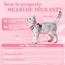 rabbitgoo Cat Harness and Leash for Walking, Escape Proof Soft Adjustable Vest Harnesses for Cats, Easy Control Breathable Reflective Strips Jacket, Pink, XXS