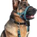BARKLESS No Pull Dog Head Collar for Gentle Training Walking, Soft Padded Head Halter with Collar Safety Clip, Comfortable Fit Muzzle Leash with Reflective Strap for Medium Large Dog (Blue, M)