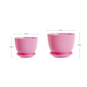 Pink Ceramic Flower Pots,Indoor Decorative Plant Pots Set of 2 - 4"+5" Inch Small Glazed Succulent Planters with Drainage Hole,Modern Garden Pots with Saucer
