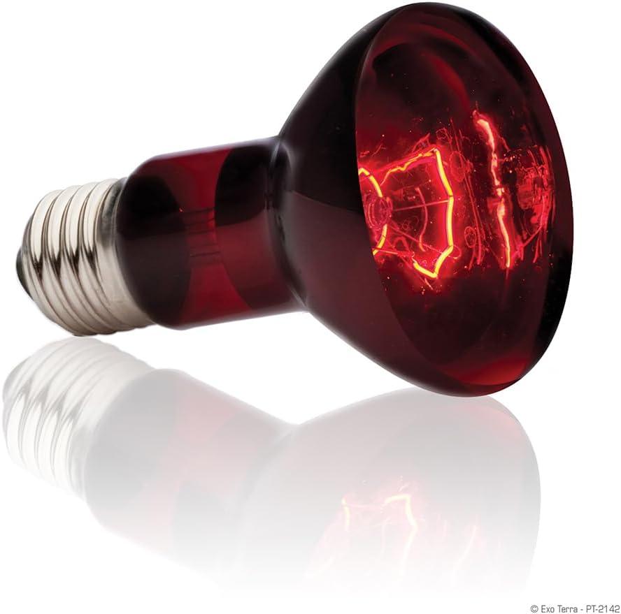 Exo Terra ROLF Hagen PET-538830 Infrared Basking Spot - 75W (75W)