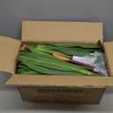 Artificial Dracaena Tree Indoor, 5Ft Faux Plants Indoor with Black Tall Planter - Faux Yucca Tall Fake Floor Plant in Pot - Artificial Plant for Home Office Living Room Decor Indoor