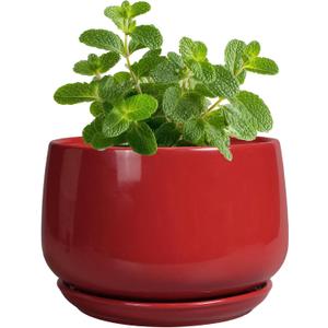 G EPGardening Ceramic Pots for Plants - 4 inch Succulent Pots Indoor Outdoor, Small Planter with Drainage Hole & Tray, Modern Flower Pot, Decorative Round Planter, Living Room Decor, Home Gifts, Red