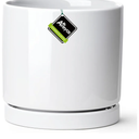 Aveyas 10 inch Ceramic Plant Pot with Drainage Hole and Saucer - Suitable for Indoor and Outdoor Use, Modern Planters for House Garden Flower Tree Snake Monstera Plants (10", Shinny White)