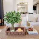 Fake Real-Touch Eucalyptus in Glass Vase with Faux Water  Realistic Faux Greenery Decor, 15.7" Tall, Artificial Eucalyptus Arrangement for Home, Farmhouse, Kitchen, Bathroom, Office