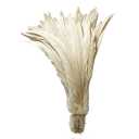 LONDGEN Off White 50PCS Nature Rooster Coque Tails Feathers 12-14inch for Stage Performances and Costume Decoration