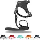 Magnetic Buckle Dog Leather Harness with 4 FT Leash | Anti-Wrinkle & Anti-Bite Leather | Ultra-Soft & Skin-Friendly | 450LB Escape-Proof Magease - Easy On/Off (Black, Small)