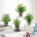FAVOWREATH 4 Pack Fake Plants Ceramic Mini Artificial Greenery Potted Plants for Home Decor Office Decor Room Decor Farmhouse Decor Indoor Table Bathroom Decor