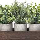 Dahey 3 Pack Mini Potted Artificial Eucalyptus Fake Plants with Wood Tray Centerpiece Table Decorations, Farmhouse Pulp Flower Pots Greenery Home Decor for Coffee Table Dining Room Office Kitchen