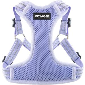 Best Pet Supplies Voyager Adjustable Step-in Flex Breathable Mesh Dog Harness for Small Medium Large Dogs (Lavender), M