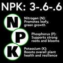 Seedlingers Super Yield Flower & Garden All Purpose Plant Food Ready to Spray Hose End