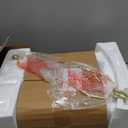 OYEARS 23" Table Lamps for Living Room Set of 2 Bedside Lamps for Night Stands Bedroom Lamps Farmhouse Rattan Boho Lamp Glass Nightlight End Table Lamp with USB C+A (Blue),Two Light Points