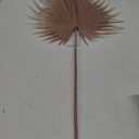 Spring Summer Declaration, 1 Pack