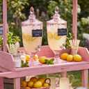 Zhehao 2 Pcs 1.3 Gallon Glass Drink Dispensers with Spigot, Light Pink