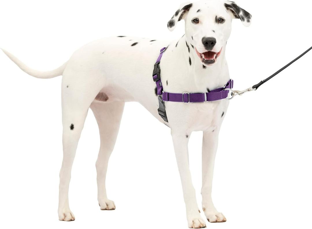 PetSafe Easy Walk Harness for Dogs - Pull-Free Walks - Patented Martingale Loop Design - Front Chest Leash Attachment - Comfort Straps - Breathable Harness Design - Medium/Large, Deep Purple/Black
