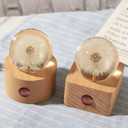 DESHINTKE Real Dandelion Specimen with Wood Round Base Paperweight Desktop Decor Decoration (Style2)