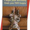 8 x ICOOLYI Funny Birthday Card and Gift for Men or Women – Hilarious and Lighthearted Decorative Design – Perfect for Friends, Family, Coworkers, Him or Her
