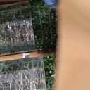 TTTM 96"x120" 80 Sqft, UV-Resistant Artificial Boxwood Hedge Roll Panel