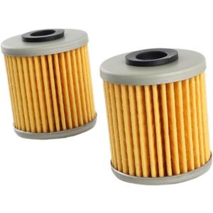 16510-16H11 Oil Filter (2pcs) Replacement for Suzuki Outboard 4HP 6HP 2017-2024