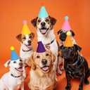 12Pcs Mini Birthday Party Hats for Stuffed Animals Dog Cat Rabbit Puppy Dolls Birthday Decorations