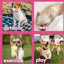 Dog Shirts for Large Dogs Girl 2 Pack Stretchy Lightweight Summer Calm Puppy Clothes Breathable Tshirts Pink Size 3XL for Easter