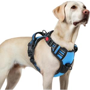 rabbitgoo Dog Harness for Large, No Pull Pet Harness with 3 Buckles, Adjustable Soft Padded Pooch Vest with Instant Control Handle, Easy Walking Reflective Pet Vest for Large Dogs, Sky Blue, Large