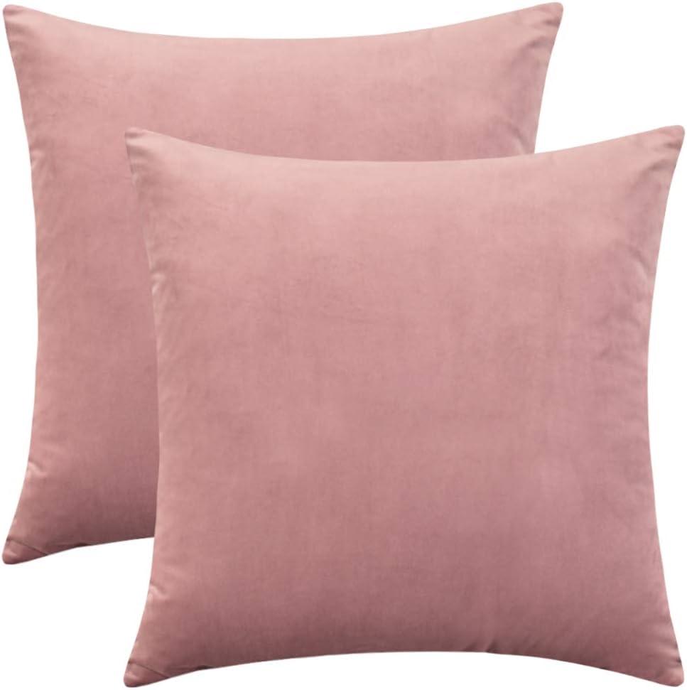 Set of 2 Comfortable Throw Pillow Cover for Bedding, Decorative Accent Cushion Sham Case for Couch Sofa, Soft Solid Velvet with Zipper Hidden - 18"x18", Mauve Pink Set of 2 Comfortable Throw Pillow Cover for Bedding, Decorative Accent Cushion Sham Case for Couch Sofa, Soft Solid Velvet with Zipper Hidden - 18"x18", Mauve Pink