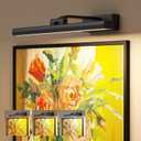 Wireless Picture Lights for Wall, Battery Operated Wall Light for Painting Rechargeable CCT Rotatable 16in Art Gallery Light with Remote Dimmable Timer for Artwork Frame Display Dartboard