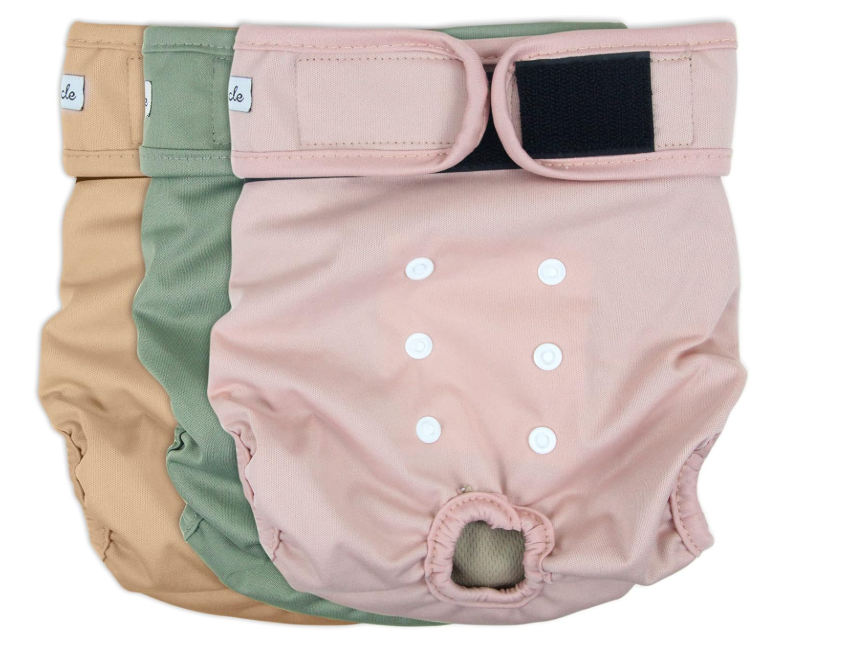 Grecle Washable Female Dog Diapers Premium Reusable Diapers for Doggie in Heat Highly Absorbent Dog Diapers Female for Pet Incontinence with Adjustable Snaps (Size M)