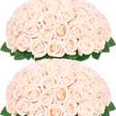 50 Pcs Champagne Roses Artificial Flowers, Real Touch Velvet Roses Bouquet Fake Flowers Bulk, Artificial Roses with Long Stems for Birthday Gift Women Mom DIY Bridal Wedding Centerpiece Decorations