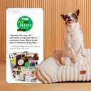Bedsure ComfyFleece Cute Cat Couch for Pets - As Seen on TV on Good Day New York, Fuzzy Cats beds for Indoor Cats with Removable Washable Cover, Supportive Pet Sofa, 24inch, Cream