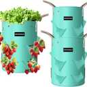 3 Pack 10 Gallon Strawberry Grow Bags, Heavy Duty PE Plant Pots with Breathable Windows and Drainage Holes, Ideal for Strawberries, Veggies, Flowers and Balcony