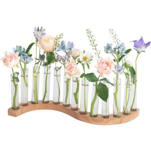 Test Tube Vases for FlowersSmall Plant Propagation StationS Shape Plant Terrarium with Wooden Stand (Solid Beech)