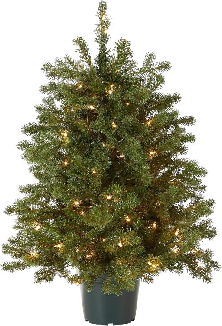 National Tree Company 3 ft Pre-Lit Hampton Spruce Mini Artificial Christmas Tree, 100 Clear Lights, 579 Tips, Green Growers Pot