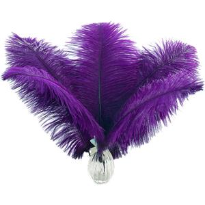 Ballinger Purple Big Ostrich Feathers - 12Pcs 14-16inch Large Feathers for Tall Vase,Mardi Gras Party Centerpieces and Holiday Home Decor (14-16 inch)