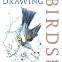 Drawing Birds