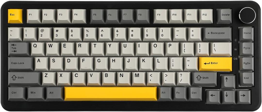 AJAZZ AK820 MAX HE Hall Effect Magnetic Gaming Keyboard, Adjustable Actuation, 8KHz Polling Rate, Wired Rapid Fast Keyboard, Creamy Gasket, RGB Backlight, NKRO for Win/Mac (Black)