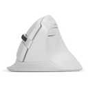DELUX Wireless Ergonomic Mouse, Vertical Mouse for Small Hand, Silent Click Ergonomic Mouse, Up to 4000 DPI, 6 Buttons, BT 5.0/2.4G Dual Mode, for Carpal Tunnel, for Laptop/PC (M618MINI DB-White)