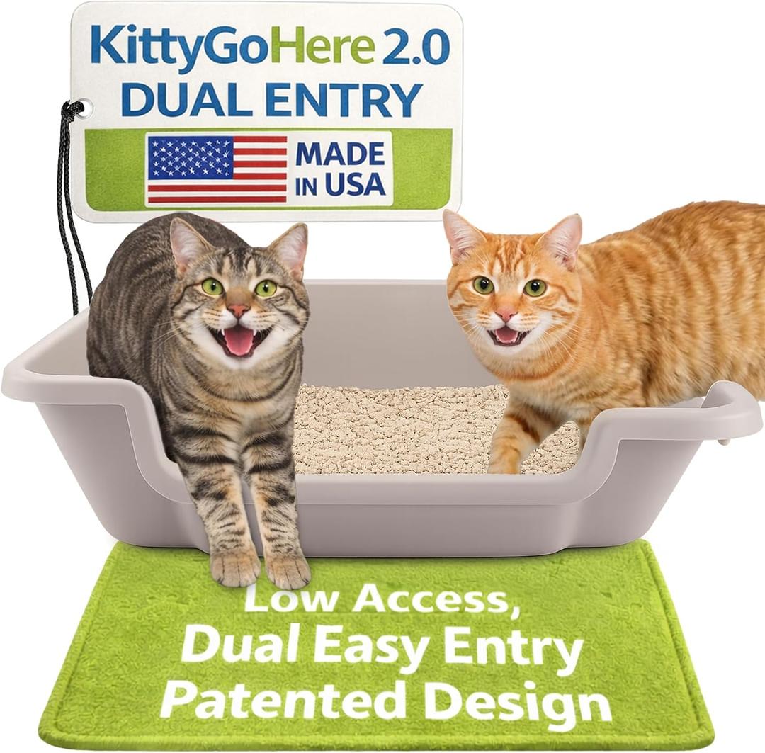 KittyGoHere 2.0 Easy-Entry Cat Litter Box Large Open-Top Low Entrance Litter Pan with Higher Sides & Two Entrances Ideal for Senior & Arthritic Cats Made in USA (Grey)
