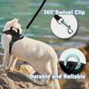 Cat Harness and Leash Set Escape Proof for Kitten Walking, Soft Adjustable Top Handle Vest Harnesses for Cats, Easy Control Breathable Reflective Small Medium Large, Black, XS