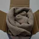 MIULEE Velvet Throw Pillow Covers 18x18 Inch, Pack of 2 - Champagne, Super Soft Decorative Square Cushion Cases Modern Luxury Home Decor for Sofa, Couch, Bed, Chair with Invisible Zipper