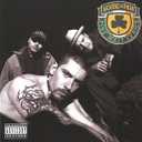House of Pain, Vinyl