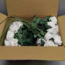 HyeFlora 50 PCS White Roses Artificial Flowers, Fake Roses with Stems Realistic Silk Roses for DIY Wedding Bouquets Tables Centerpieces Arrangements Party Baby Shower Birthday Home Decor Gift for Her