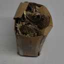 Roofing Nails 1-1/4" x .120 15 Degree Full Round Head Smooth Shank Galvanized coil Roofing Nails, 3600 Count, Wire Collated Coil for Roofing Nail Gun