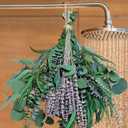 52 PCS Mix Dried Eucalyptus & Lavender Flowers Bundles for Shower, 17'' Natural Real Hanging Silver Dollar Eucalyptus Leaves Stems, Fragrance Fresh Plants Home Bathroom Decor (52pcs)