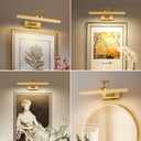 Picture Light Battery Operated Brass 15.7' Inch Long Rechargeable Wall Lights Dimmable LED Library Light with Swing Arm and Timer Function Cordless Wall Light Indoor Gold Color
